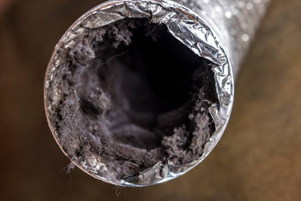 Best Ductwork Cleaning Services  in Mount Vernon, IN