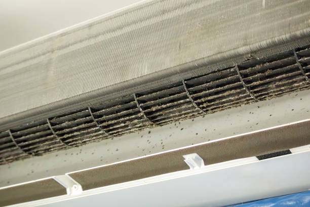 Best HVAC Duct Inspection Services  in Mount Vernon, IN
